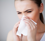 ניתוח קונכיות - תמונת המחשה